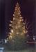 Christmas tree, Mörby Centrum